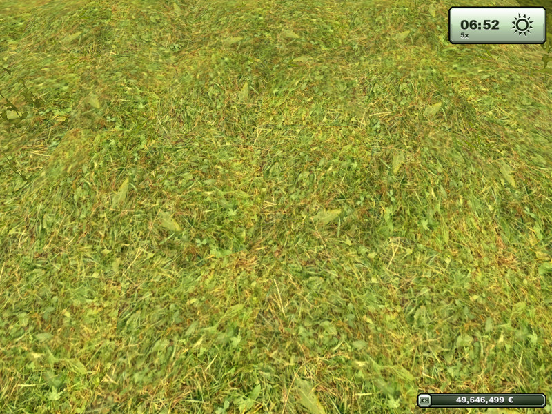Grass texture v 1.0