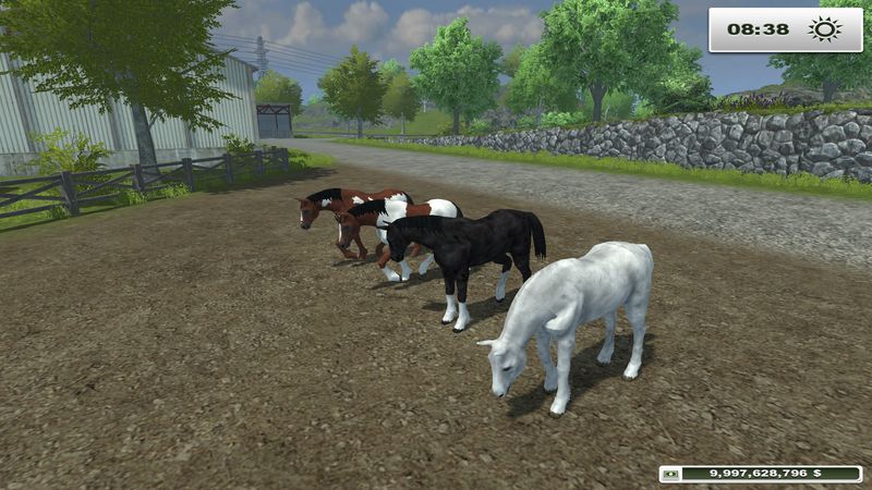 Horses v 1.0  placeable